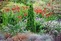 Mixed border with Thuja occidentalis Degroot's Spire at Foggy Bottom, The Bressingham Gardens. 