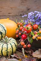 Autumnal display of Aster, Rose hips and Gourds. 