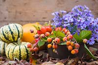Autumnal display of aster, rose hips and gourds. 