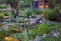 Pond with a waterfall and Typha minima,  Pondeteria cordata, Nymphaea in backyard garden at dusk in summer, Illuminated gazebo in the background, Under the Apple Trees garden, Canada