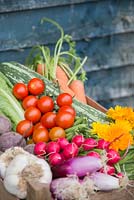 Wooden crate of produce from an allotment. Carrots, Tomatoes, Courgette, Radishes, Beetroot, Calendula, Garlic and Spring Onions