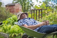 Man asleep in a wheelbarrow within an allotment plot holding a cup of tea
