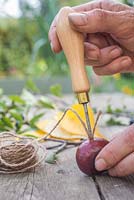 Use the bradle to push the Jute twine through the Conker.