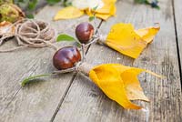 Conker Fairy. Materials used are Aesculus hippocastanum - Conkers, Jute twine, autumnal leaves and a Prunus cutting. 