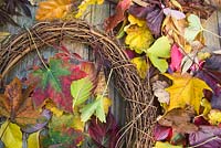 Creating an autumnal leaf wreath.