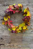 Autumnal leaf wreath made from a mixture of leaves, hanging against a wooden backdrop. 