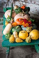 Pumpkins and squashes with chrysanthemums displayed on painted gardeners barrow