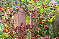 Rosehip wreath hanging on the edge of a wooden fence.