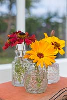 Floral display of Calendula officianalis 'Art Shades', Helenium and Tagetes 'Naughty Marietta' in small glass jars with a view to the garden