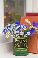 Floral display of Cornflower - Centaurea, Feverfew - Tanacetum parthenium and Anthriscus sylvestris in a vintage coffee tin, with a view through a window to the garden