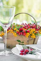 Rosa - Rose hips and Sorbus berries used as table place setting components