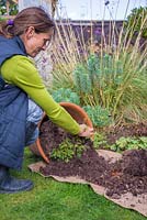 Re-using spent container compost as a mulch for a garden border