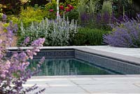 Swimming pool, Stachys 'Big Ears', Nepeta 'Six Hills Giant', Paeonia 'Karl Rosenfield' in mixed beds 