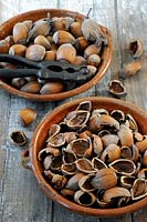 Hazelnuts in vintage terracotta dish with old nut crackers and shells in matching bowl.