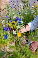 Woman holding a bunch of wild flowers - Centaurea cyanus, Buphthalmum salicifolium, Orlaya grandiflora 