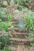 Stairway leading through path of Succulents. San Diego, CA