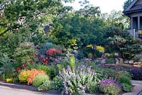 Front garden overview. Victoria BC, Canada