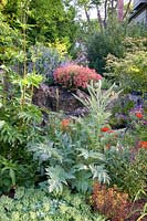 Mixed Summer border with Cardoon . Victoria BC, Canada