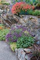 Raised border planting beside garden path. Victoria BC, Canada