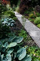 Gravel path leading through summer borders. Hostas, Ophiopogon. Victoria BC, Canada