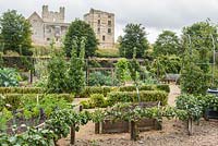 Area devoted to vegetable growing for the cafe, and for community allotments, with dramatic backdrop of Helmsley Castle. 