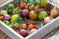 Wooden seed tray containing tomatoes, chilies and onions