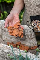 Planting a stone alpine trough with alpine plants. Alpine plants need good drainage, so cover the drainage holes first with crocks to prevent them becoming blocked and then cover with gravel to a depth of 2-3cm.