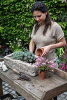 Practical step-by-step guide to planting a stone alpine trough with alpine plants. Once happy with the arrangement, plant by starting in one corner, and working toward the opposite one. Press each plant down firmly in turn, adding extra soil if necessary.