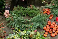 Woman making a Christmas wreath using a 40cm wire wreath frame, sphagnum moss, spruce, dried pumpkins, rose hips and ribbon. The rose hips' stems are pushed between the spruce, into the moss.