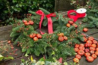 Christmas wreath using a 40cm wire wreath frame, sphagnum moss, spruce, ribbon and dried pumpkins held on lengths of florist's wire and rose hips, both secured in place by the moss. The finished wreath.