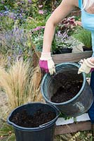 Planting a salvaged pot step by step. Fill with potting compost.