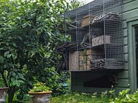 Recycled metal shelving used for garden storage.