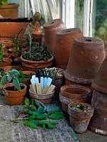 Work bench in the potting shed, complete with cuttings ready for potting, terracotta pots, plant labels, string, dibber and knife.