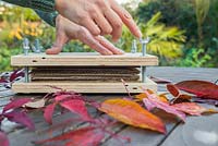 Fastening the wing nuts on the leaf press, to compress and flatten the Autumn leaves