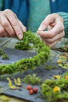 Using twine to secure moss to the wreath. 
