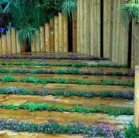 New, sanded railway sleepers interplanted with chamomile and thyme that release scent as walked upon - a low maintenance lawn alternative. Timber post boundary.