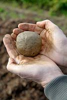 Testing soil texture by forming a ball - Clay soil