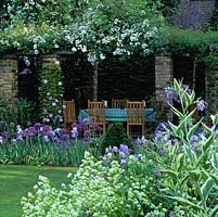 Outdoor dining table and chairs under pergola.  Seen through allium, poppy, geranium, comfrey and campion, bed with Iris 'Jane Phillips' and Allium cristophii. Clematis Josephine and Rosa 'Rambling Rector'.