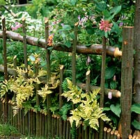 Picket style fence made from hazel branches creates natural screen in border, providing support for climbing plants as well as visual divider.