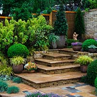 Paved steps link upper and lower stone terraces, edged in box domes, evergreen fir, bay, euonymus and pots of ornamental grasses, pansies and campanula.