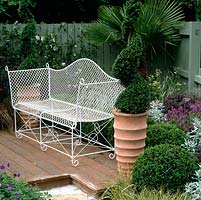 Wooden deck with white wirework bench. Box spiral in pot. Painted green fence. Bed of box balls, purple pittosporum, French lavender and Chusan palm.