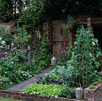 On right, vegetable patch with rows of lettuce, carrots and beans on wigwam. Foxgloves by gate. On left, perennials: valerian, aquilegia, alchemilla.