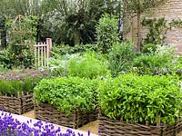 Organic potager: raised beds of woven willow panels. Herbs: thyme, chervil, mint, coriander,lavender, rosemary. Veg: pea, artechoke, chard, beetroot, carrot, chives, beans, tomatoes.
