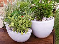 Pots of herbs - sage, mint, parsley and strawberry.