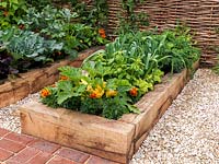 In potager, raised bed of herbs and vegetables - courgettes, leeks, lettuce, curly kale and basi. French marigolds as companion planting to deter pests.