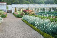 Gravel path through kitchen garden between box edged beds full of argyranthemums and dahlias, with restored glasshouses beyond. Forde Abbey, nr Chard, Dorset, UK