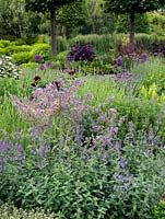 A harmonious planting of purple, pink and blue herbs and ornamentals in a large informal contemporary garden.