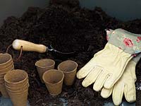 Filling biodegradable planters for seedlings.