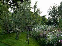 A country garden apple orchard, surrounded by wildflowers.