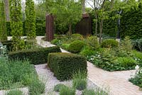 A contemporary garden with geometric yew topiary, columnar Cypress oaks and lavender arranged amongst gravel.